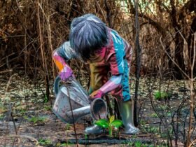 a cutout temporary artwork of a young child watering a sprouting plant, photographed in a burnt forest