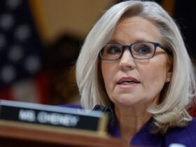 Liz Cheney Will Campaign With Harris In Wisconsin