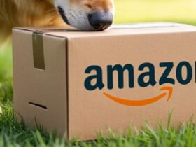 Man with dog may find human head in Amazon box