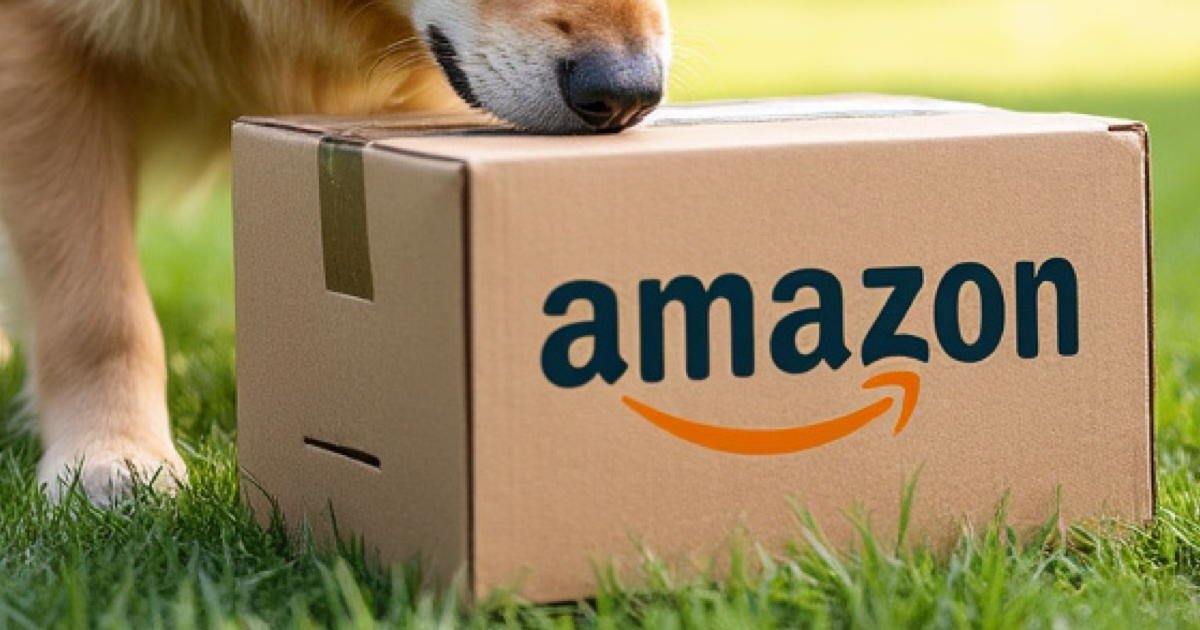 Man with dog may find human head in Amazon box