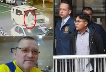 New York driver arrested for brutal crash that catapulted 74-year-old 'loving' grandfather