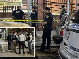 New York girl, 15, split pelvis by stray bullet from scooter-riding thugs: Grandma