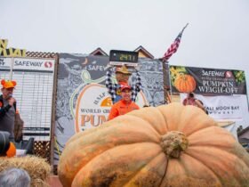 One giant pumpkin could flavor 74,794 pumpkin spice lattes