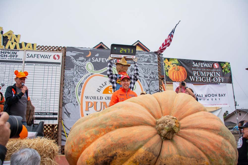 One giant pumpkin could flavor 74,794 pumpkin spice lattes