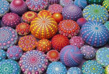 a collection of hand painted rocks in mesmerizing vibrant patters