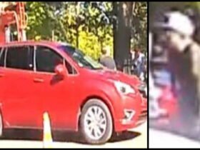 Police hunt for SUV, gunmen linked to Hamlin Park shooting (video)