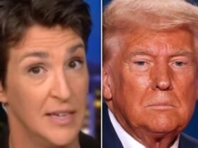 Rachel Maddow Debunks Key Argument Of ‘Relatively Normal’ Trump Voters