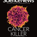 Cover of August 24, 2024 issue of Science News