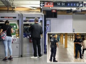 Rock-wielding stranger smashes New York subway rider's head in random attack: sources