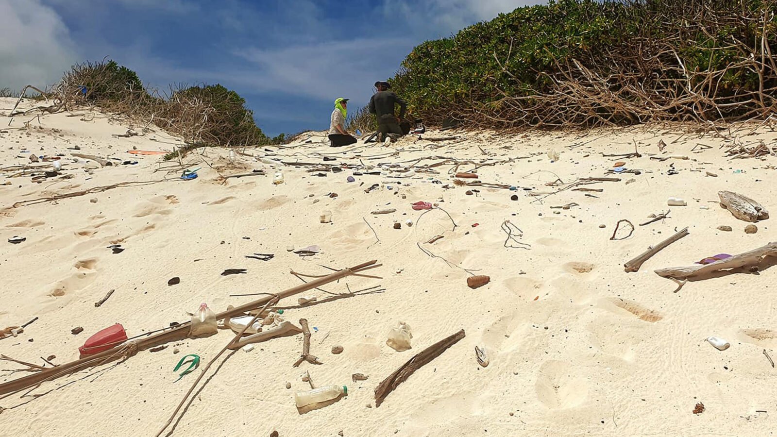 Satellite images can now show plastic waste hiding on beaches