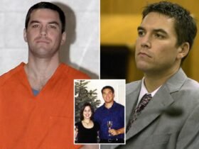 Scott Peterson has been granted discovery rights by a California judge 20 years after his murder conviction