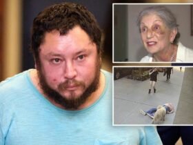 Sicko who randomly attacked 81-year-old woman in New York was out on bail for exposing himself: prosecutors