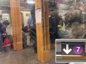 Stranger randomly pushes 82-year-old woman onto train tracks in New York