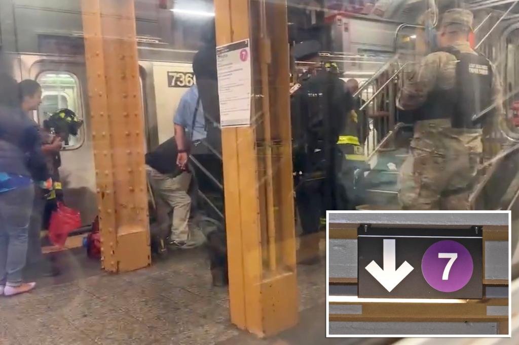 Stranger randomly pushes 82-year-old woman onto train tracks in New York