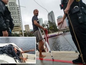 Tampa's one-legged viral sensation 'Lieutenant Dan' jailed over a boat