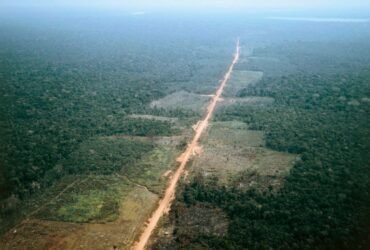 BRAZIL - MAY 05: The Trans-Amazonian highway, Amazonas State, Brazil. (Photo by DeAgostini/Getty Images)