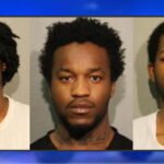 Trio charged in carjacking of Logan Square pot dealer