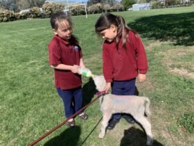 Waipara School combines pet day with agri kids