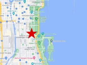 Woman found dead next to severed foot in stairwell of South Loop luxury high-rise: CPD doc