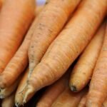 1 Dead, Dozens Sick After Eating Carrots Contaminated With E. Coli