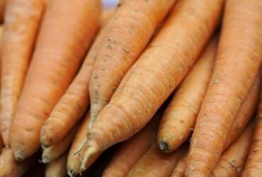 1 Dead, Dozens Sick After Eating Carrots Contaminated With E. Coli