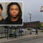 2 charged with theft after interrupting escape to grab McDonald's on victim's credit card: CPD report