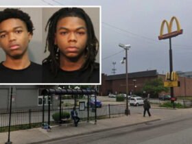 2 charged with theft after interrupting escape to grab McDonald's on victim's credit card: CPD report