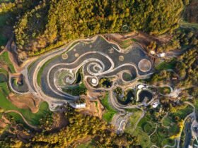 an aerial view of an elaborate hillside garden and landscape design inspired by the curling forms of Vincent van Gogh