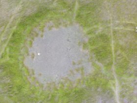 A massive pond and earthen channels used by Maya people to catch fish