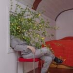 a man in a gray suit seated in a red chair is obscured by weeds bursting through a window