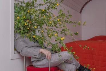 a man in a gray suit seated in a red chair is obscured by weeds bursting through a window