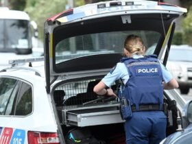 'Crazy': Arrest after armed police callout in North Dunedin