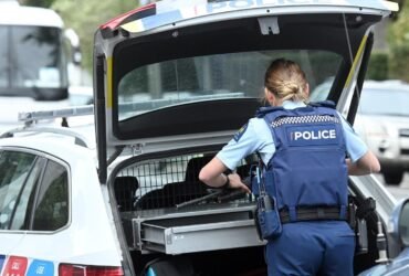 'Crazy': Arrest after armed police callout in North Dunedin