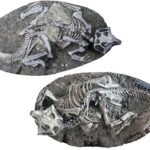 Dinosaurs discovered in 'Chinese Pompeii' actually died in extremely boring ways