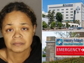 Fake nurse Amanda Leeann Porter worked in multiple hospitals and cared for about 60 patients across California for a month: police