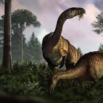 Fossilised droppings tell the story of dinosaurs' rise to power