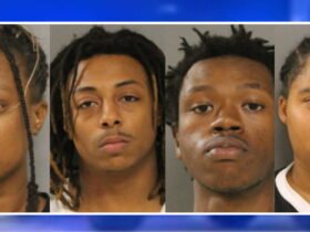 Gang robbed woman on CTA bus while someone recorded it all on their phone: Prosecutors