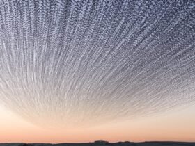 a sunset timelapse photo of a landscape with a dramatic murmuration of starlings