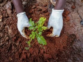 Let African Communities Manage Their Climate Adaptation Plans