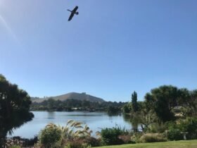 Letters to Editor: lagoon, buses, Dunedin's beauty