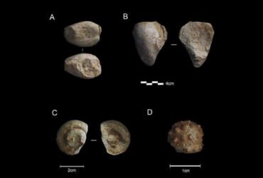 Neanderthals may have enjoyed collecting tchotchkes, just like us