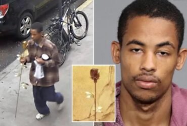 New York thief Deikel Alcantara, accused of stealing gold-plated September 11 memorial rose, laughs at arraignment