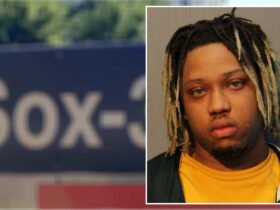 Probation for man who sexually assaulted woman he followed from Red Line station