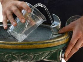 A close up on a drinking fountain, with a person filling a cup with water.