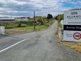 Shutting Timaru meatworks costing Alliance $51 million