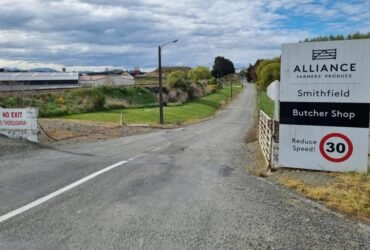 Shutting Timaru meatworks costing Alliance $51 million