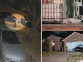 Texas father killed on Halloween by killer wearing Michael Myers mask