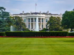 They Mislead You About Crime: One Reason Trump Won