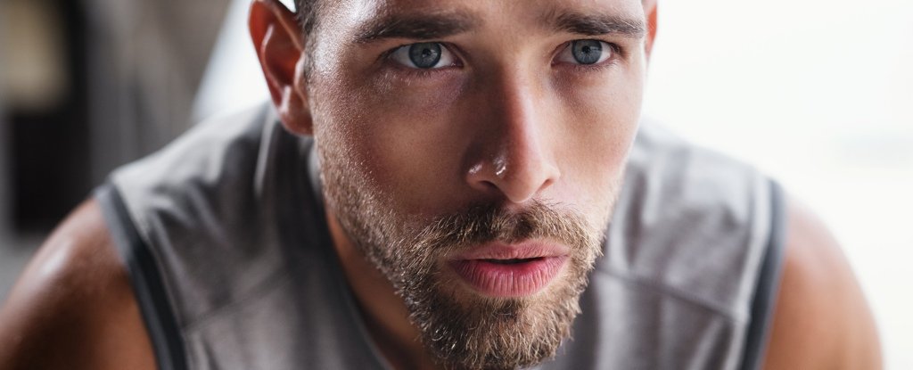 Why Focusing on Rest Is Key to Fitness Gains : ScienceAlert