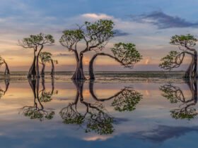 13 breathtaking photos from the International Landscape Photographer of the Year